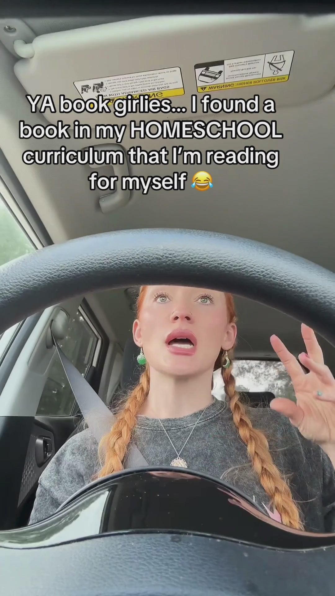 Load video: “My son is a reluctant reader. I’m an avid reader. We’re reading a chapter a day—and I wasn’t expecting to fall in love with the book myself.”—Fairy Sherri Homeschools
